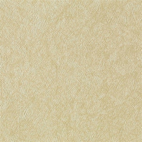 Satin Texture