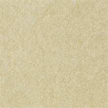Satin Texture