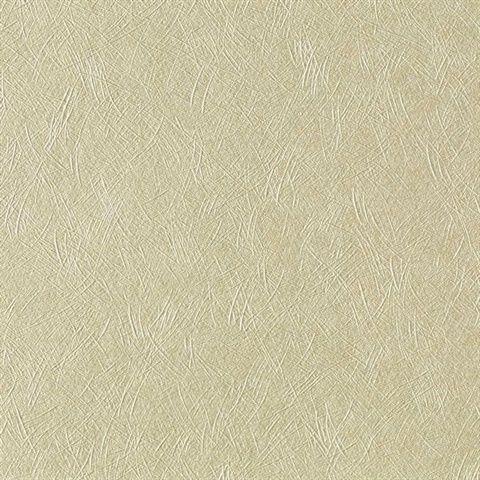 Satin Texture