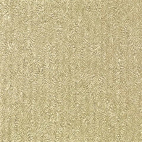 Satin Texture