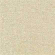Scrim Texture