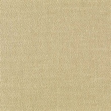 Scrim Texture