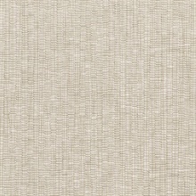 Raffia Taupe Texture