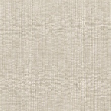 Raffia Taupe Texture