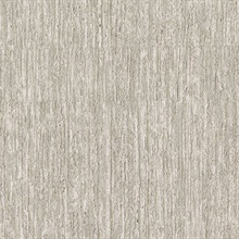 Oak Beige Texture