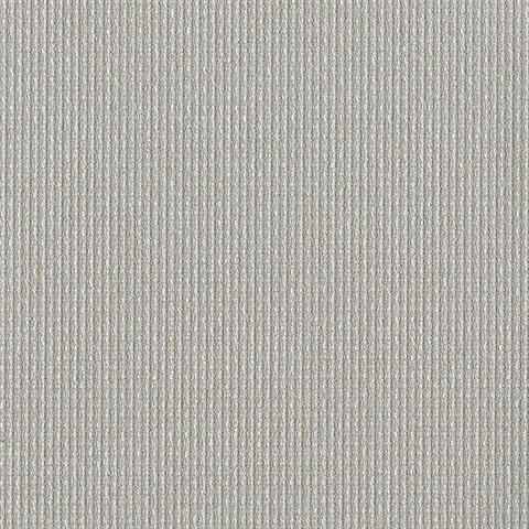 Textile Silver Texture