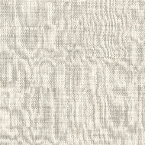 Linen Beige Texture