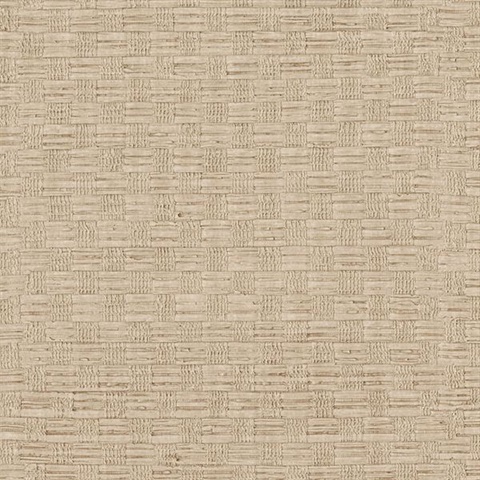 Woven Beige Texture