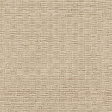 Woven Beige Texture