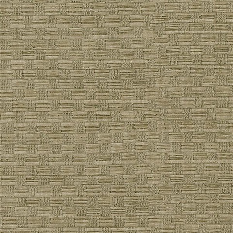 Woven Light Brown Texture