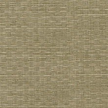 Woven Light Brown Texture