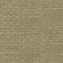 Woven Light Brown Texture