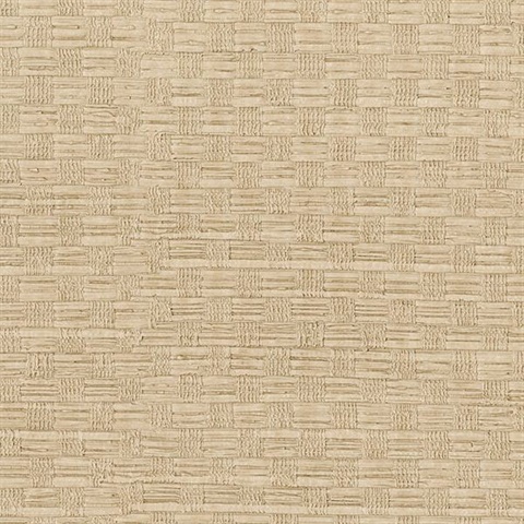 Woven Honey Texture