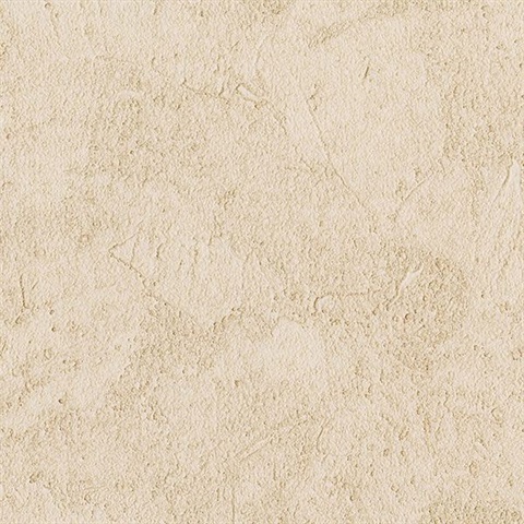 Stucco Plaster Honey Texture