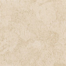 Stucco Plaster Honey Texture