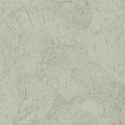 Stucco Plaster Sage Texture