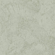 Stucco Plaster Sage Texture