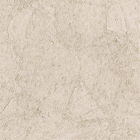 Stucco Plaster Light Brown Texture