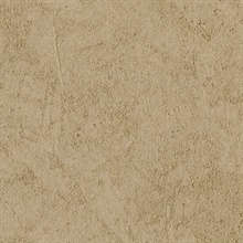 Stucco Plaster Chocolate Texture