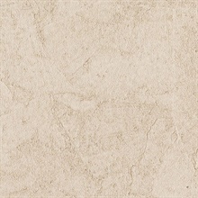 Stucco Plaster Apricot Texture