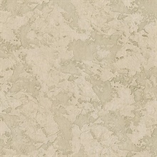 Stucco Khaki Texture