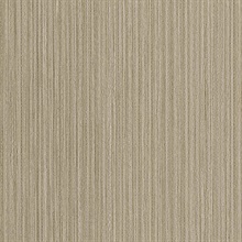 Triticum Brown Texture