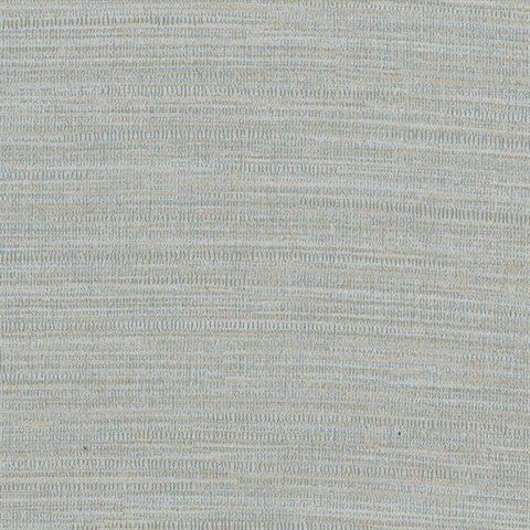 Zoster Grey Texture