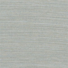 Zoster Grey Texture