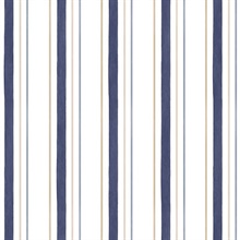Blue & Gold Pinstripes