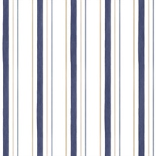 Blue & Gold Pinstripes