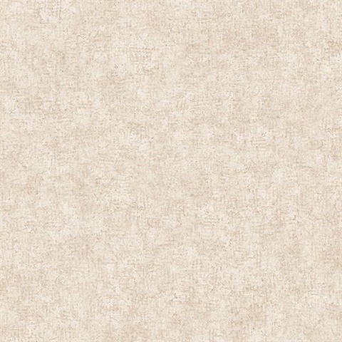 Beige Smooth Texture