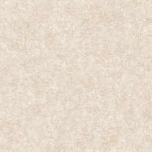 Beige Smooth Texture