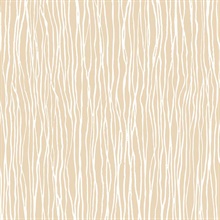 Peach Modern Stria