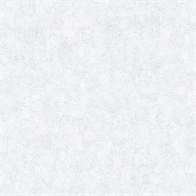 Grey Smooth Texture