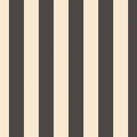 Black & Off White Stripe