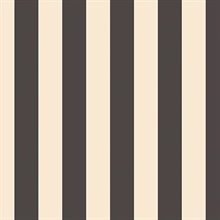 Black & Off White Stripe