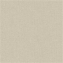 Linen Texture