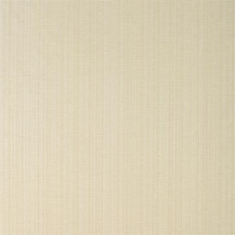 Stripe Texture