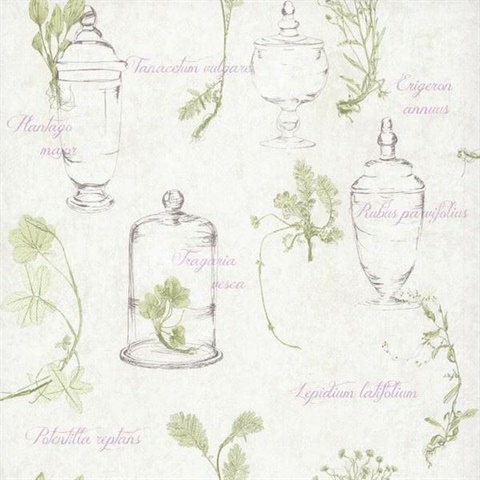 Herbs and Glass Collage