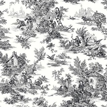 Black & White French Countryside Toile Wallpaper