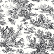 Black &amp; White French Countryside Toile Wallpaper