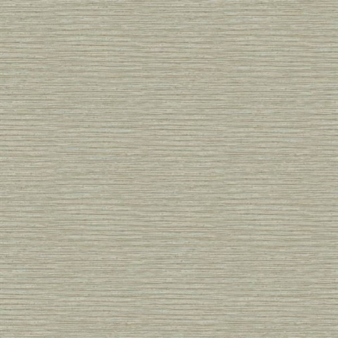 Horizontal Texture