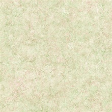 Paint Texture