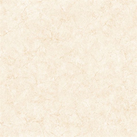 Paint Texture