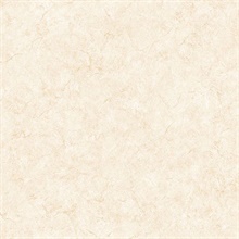 Paint Texture