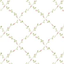 Petite Floral Lattice