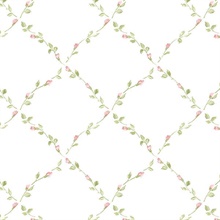 Petite Floral Lattice