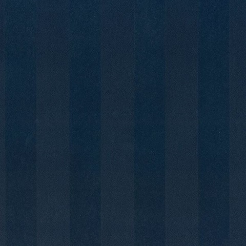 Barnett Stripes Navy