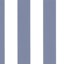 Anaheim Stripe Blue