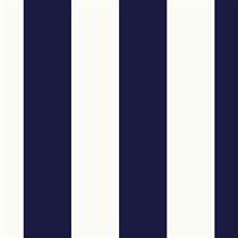 Anaheim Stripe Navy Blue